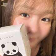 ヒメ日記 2025/12/24 12:20 投稿 ♡せりな先生♡ 梅田ムチぽよ女学院