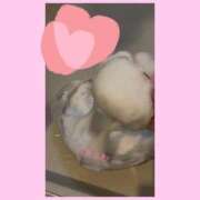 ヒメ日記 2026/02/26 18:30 投稿 ♡せりな先生♡ 梅田ムチぽよ女学院