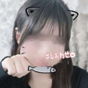 ヒメ日記 2025/10/15 06:20 投稿 きく プロフィール姫路