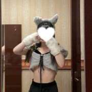 ヒメ日記 2026/01/19 18:03 投稿 きく プロフィール姫路