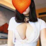 ヒメ日記 2025/11/27 13:30 投稿 もあ 桃李（とうり）