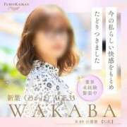 ヒメ日記 2025/10/09 12:27 投稿 新葉（わかば） 不倫快感