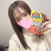 ヒメ日記 2025/12/05 01:17 投稿 ここみ IRIS一宮