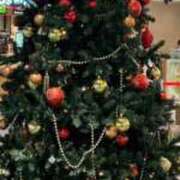 ここみ 🐱２６～３０💗 IRIS一宮