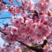 甘露寺 さくら おでかけ🌸 CASA BIANCA（カーサ・ビアンカ）