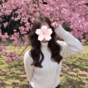 ヒメ日記 2026/04/04 14:29 投稿 甘露寺 さくら CASA BIANCA（カーサ・ビアンカ）