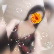 ヒメ日記 2025/11/23 08:44 投稿 藤城せいら 美魔女エステ