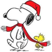 ヒメ日記 2025/12/24 13:17 投稿 荒川 菜々 人妻セレブ宮殿