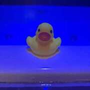 ヒメ日記 2026/01/29 22:36 投稿 荒川 菜々 人妻セレブ宮殿