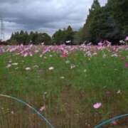 ヒメ日記 2025/10/19 17:29 投稿 コナ ドMなバニーちゃん大宮店