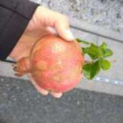 ヒメ日記 2025/10/23 16:12 投稿 コナ ドMなバニーちゃん大宮店