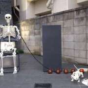 ヒメ日記 2025/10/29 16:26 投稿 コナ ドMなバニーちゃん大宮店