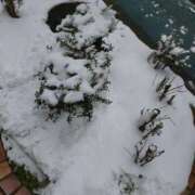 ヒメ日記 2026/02/08 13:45 投稿 コナ ドMなバニーちゃん大宮店