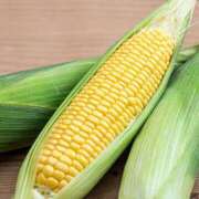 ヒメ日記 2026/03/01 08:15 投稿 コナ ドMなバニーちゃん大宮店