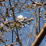 ヒメ日記 2026/03/19 12:15 投稿 コナ ドMなバニーちゃん大宮店