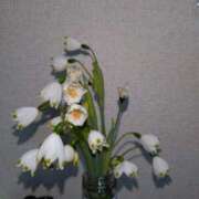 ヒメ日記 2026/04/07 12:00 投稿 コナ ドMなバニーちゃん大宮店