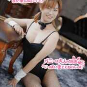 コナ ご予約のT様へ ドMなバニーちゃん大宮店