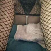 ヒメ日記 2025/11/09 20:26 投稿 うみ 新潟市鳥屋野潟ちゃんこ