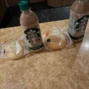 ヒメ日記 2025/11/11 21:26 投稿 うみ 新潟市鳥屋野潟ちゃんこ