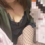 ヒメ日記 2025/11/12 03:06 投稿 うみ 新潟市鳥屋野潟ちゃんこ