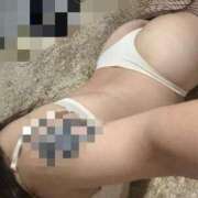 ヒメ日記 2025/11/17 19:26 投稿 うみ 新潟市鳥屋野潟ちゃんこ