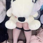 ヒメ日記 2025/10/15 15:59 投稿 いるな 広島サンキュー