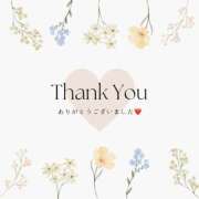 ヒメ日記 2025/11/15 21:26 投稿 中本 熟女の風俗最終章 新横浜店