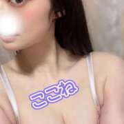 ヒメ日記 2025/10/05 02:21 投稿 ここね 横浜関内人妻城