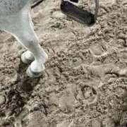 ヒメ日記 2025/10/03 13:18 投稿 宮川　詩音 プルプル倶楽部 札幌すすきの店