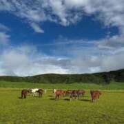 ヒメ日記 2025/10/03 17:54 投稿 宮川　詩音 プルプル倶楽部 札幌すすきの店