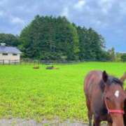 ヒメ日記 2025/10/04 05:03 投稿 宮川　詩音 プルプル倶楽部 札幌すすきの店