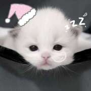 ヒメ日記 2025/11/02 18:16 投稿 ゆの 千葉人妻セレブリティ（ユメオト）