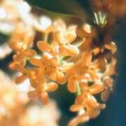 ヒメ日記 2026/09/02 16:15 投稿 Saya Tominaga ELEGANT－エレガント－