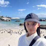 あゆみ 動物に癒された 秘書室(吉原)