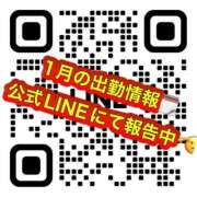 ヒメ日記 2025/12/21 16:33 投稿 菊池はる【アメージング】 大人のゴシャール