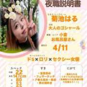 ヒメ日記 2026/01/12 10:42 投稿 菊池はる【アメージング】 大人のゴシャール