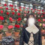 ヒメ日記 2025/11/24 10:46 投稿 もか Remote Spa Premium(リモートスパプレミアム)