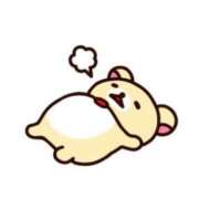 ヒメ日記 2026/01/14 08:17 投稿 橘　らん アロマキュアシス 吉祥寺