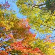 ヒメ日記 2025/12/09 08:55 投稿 ことね 奥様鉄道69 東京店