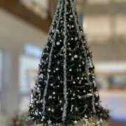 ヒメ日記 2025/12/09 17:55 投稿 ことね 奥様鉄道69 東京店