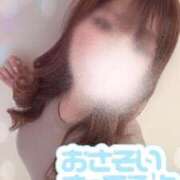 ヒメ日記 2025/10/06 10:23 投稿 ひじり ミセスサマンサ