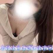 ヒメ日記 2025/12/05 08:42 投稿 ひじり ミセスサマンサ