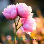 ヒメ日記 2026/03/12 14:38 投稿 ゆうな アート姫