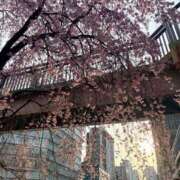 ヒメ日記 2026/04/06 17:58 投稿 ゆうな アート姫