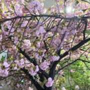 ヒメ日記 2026/04/10 00:02 投稿 ゆうな アート姫