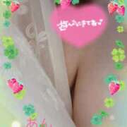 杏 初出勤🍒ྀི 熟女の風俗最終章　鶯谷店