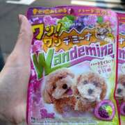 ヒメ日記 2025/11/22 16:37 投稿 りさこ ココリラ吉祥寺・調布店