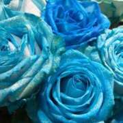 ヒメ日記 2026/01/28 11:18 投稿 りさこ ココリラ吉祥寺・調布店