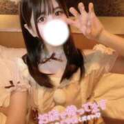 ヒメ日記 2025/12/20 12:49 投稿 ミル ピカソ