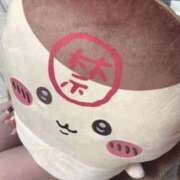 ヒメ日記 2026/02/14 20:31 投稿 しえる サマンサ(和歌山)